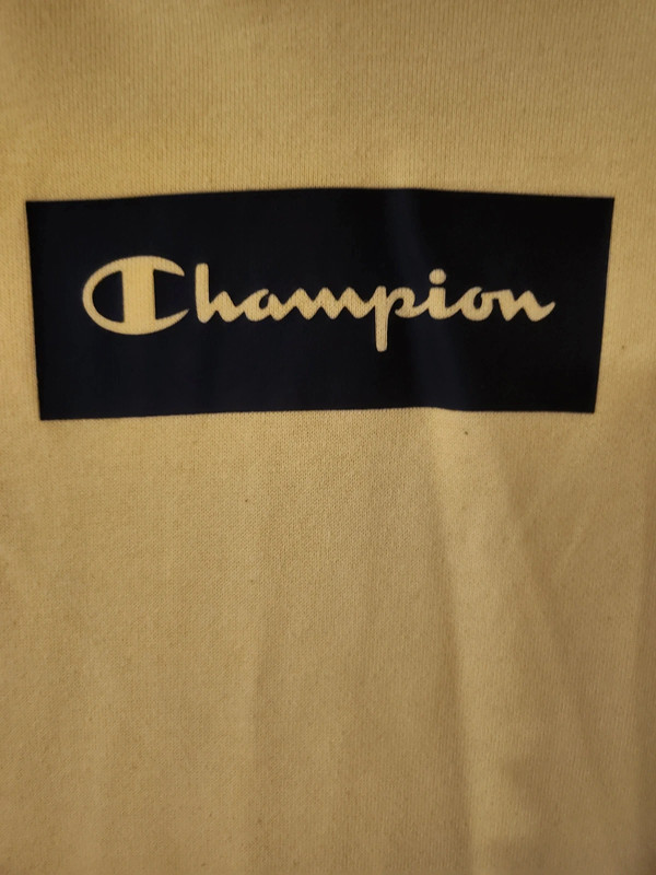 Bluza Champion 2