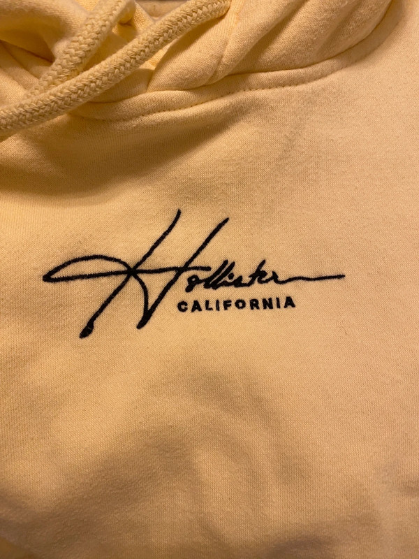 Hollister on sale orange hoodie