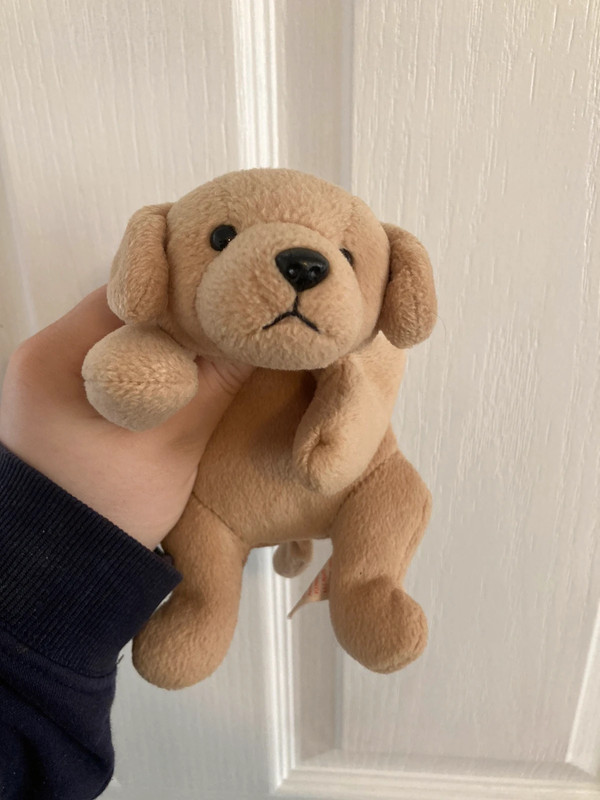 Fetch the discount dog beanie baby