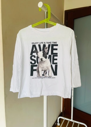 Camisola Zara / Pull Zara / Camiseta Zara / T-shirt Zara, marca: Zara, estado: Muy bueno, tamaño: 6 años / 116 cm, 4,00 €, 4,90 € Protección al comprador incluida