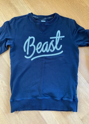 Pull Beast blauw, marque: Flight of the beast, état: Très bon état, taille: M, 5,00 €, 5,95 € Protection acheteurs incluse