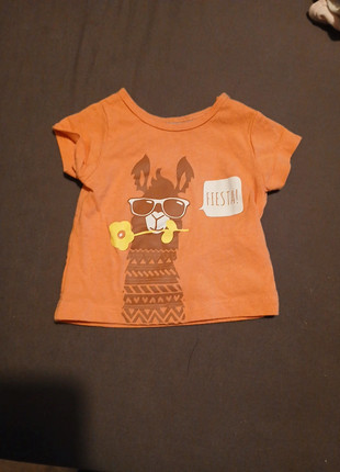 T shirts bebe fille, marque: Lupilu, état: Très bon état, taille: 1-3 mois / 56 cm, 1,00 €, 1,75 € Protection acheteurs incluse