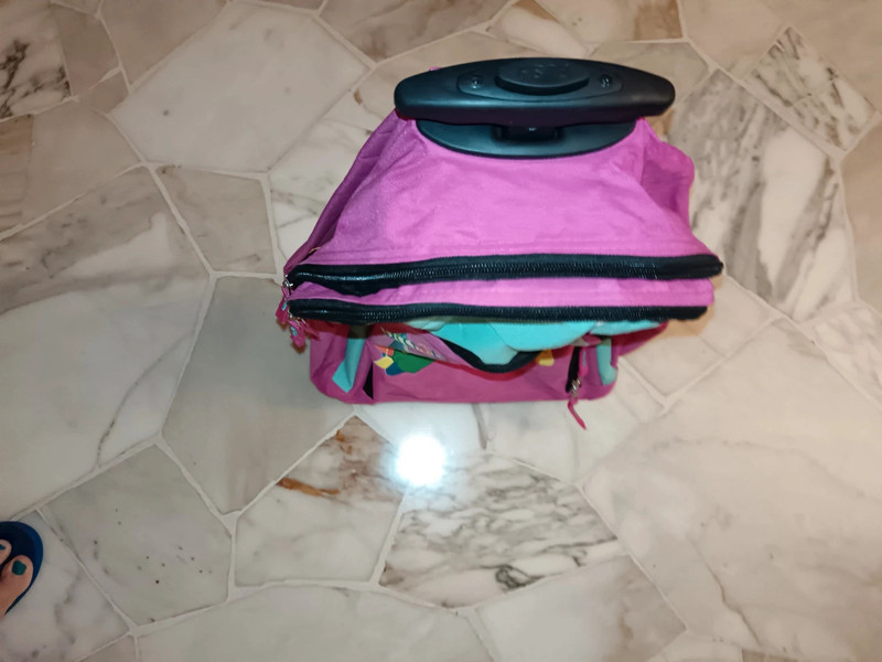 Gruppo alcuni Cuccioli zaino trolley rosa 3 tasche 5