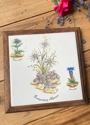 Rare Dessous de table Botical Villeroy et Bosch plantes alpines, marca: Villeroy & Boch, estado: Muy bueno, 16,00 €, 17,50 € Protección al comprador incluida