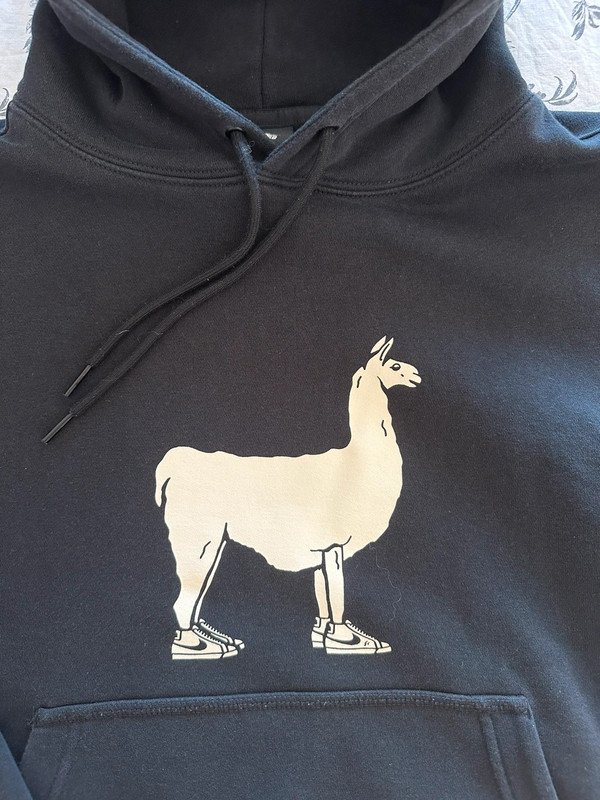 Men’s hoodie 2