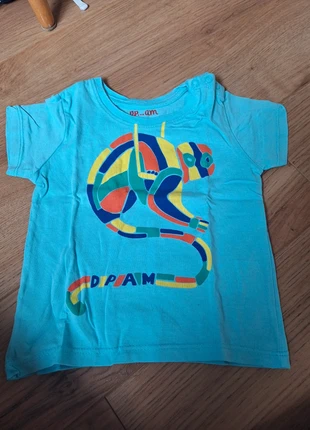 Tee-shirt, marque: Du Pareil au Même, état: Bon état, taille: 9-12 mois / 74 cm, 2,00 €, 2,80 € Protection acheteurs incluse