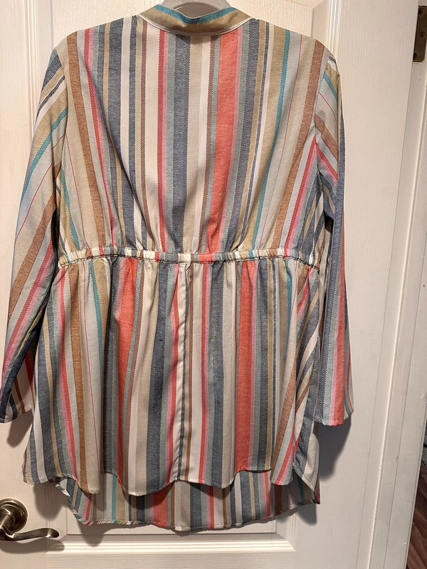 Hint of Blush Plus Size Tunic 2