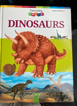 Dinosaur fact book, condition: Very good, £1.00, £1.75 includes Buyer Protection