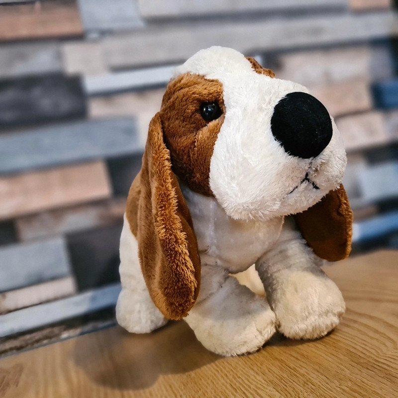 Hush puppies hotsell stuffed dog