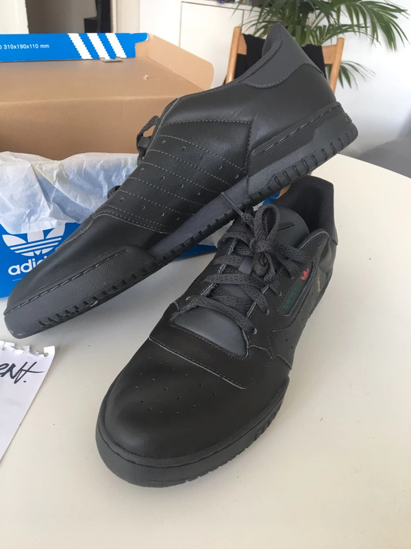 Adidas calabasas Vinted