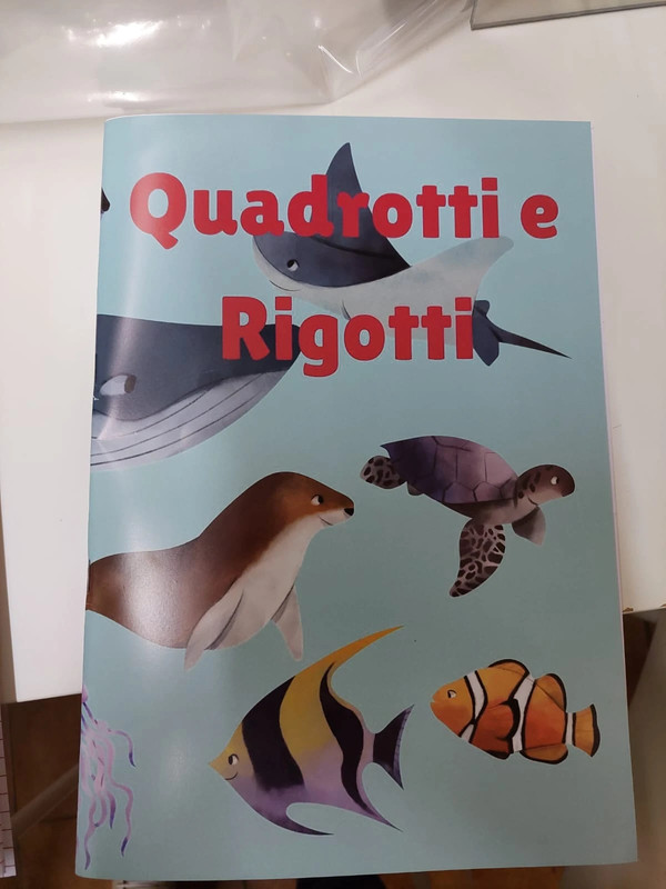 7 Quaderni R3-Quadrotti e Rigotti 1
