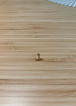 Piercing titanium veer, merk: Titanium, staat: Nieuw zonder prijskaartje, € 7,00, € 8,05 inclusief Kopersbescherming