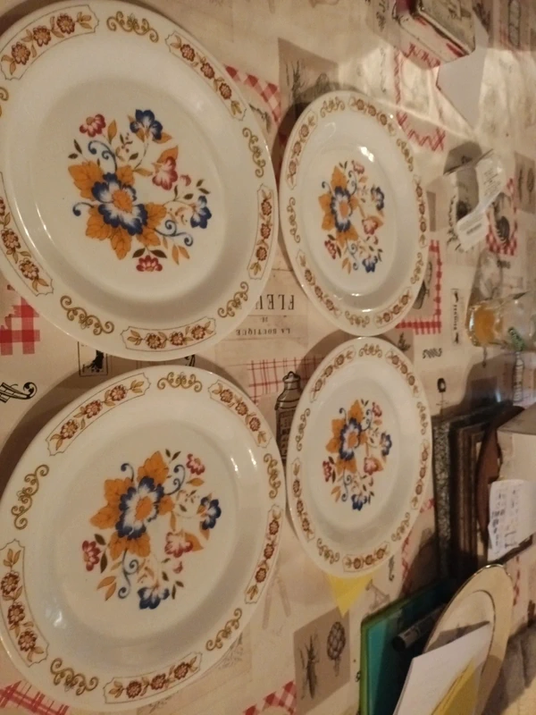 Lot 4 assiettes arcopal vintage