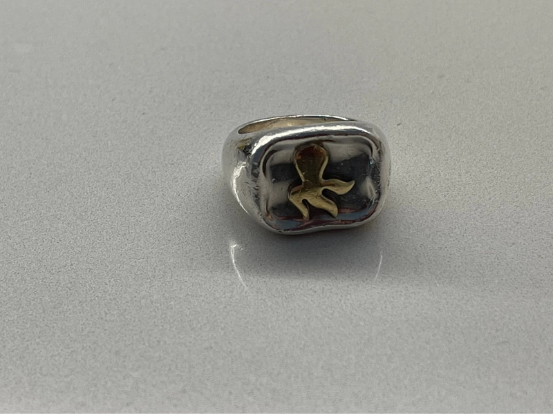 Anello Dodo pomellato