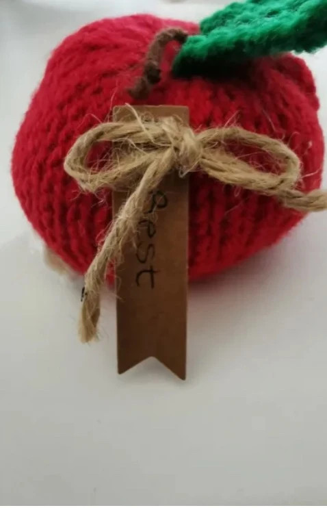 Hand knitted best teacher apple gift 2