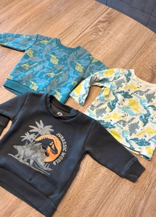 Lot de sweats dinosaures, brand: Primark, condition: Very good, size: 9-12 months / 74 cm, €5.00, €5.95 includes Buyer Protection