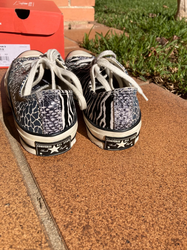 All star animalier on sale