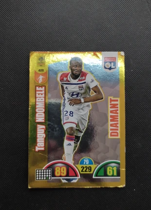 Carte panini Tanguy ndombele 2018/19, marque: Panini, état: Bon état, taille: Taille unique, 1,00 €, 1,75 € Protection acheteurs incluse