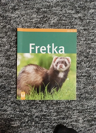 Obrázek k inzerátu: Fretka