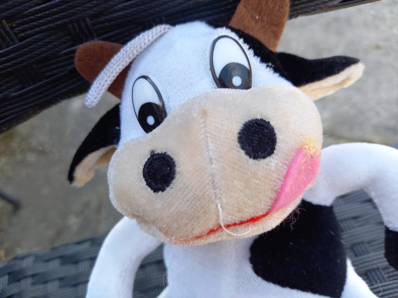 Peluche vache shop