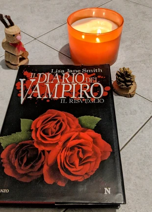 "the vampire diaries" libro, staat: Goed, € 3,00, € 3,85 inclusief Kopersbescherming