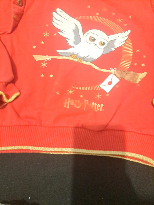 Pull fille harry potter 6 ans 5