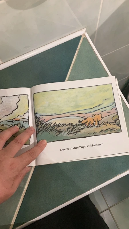 Livre enfant - photo numéro 4