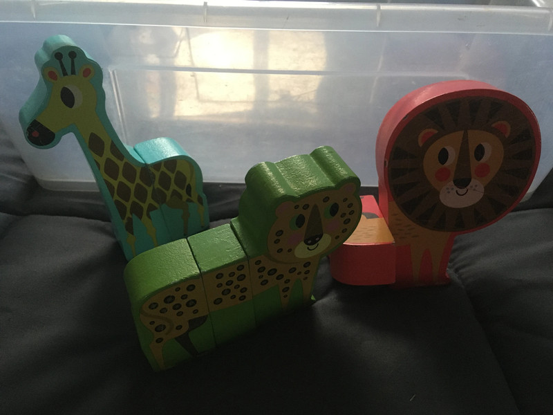 Rigol'Animaux de la jungle puzzle magnétique en bois