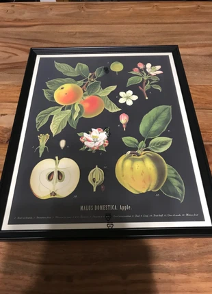 Cadre, marque: IKEA, état: Neuf sans étiquette, 8,00 €, 9,10 € Protection acheteurs incluse