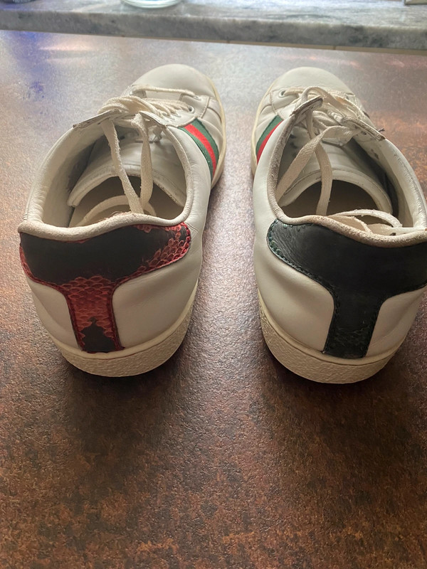 Gucci ace sale used