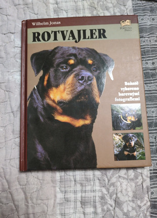 Obrázek k inzerátu: Rotvajler