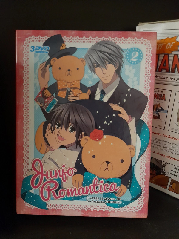 Coffret dvd Junjou Romantica 2 yaoi - Vinted