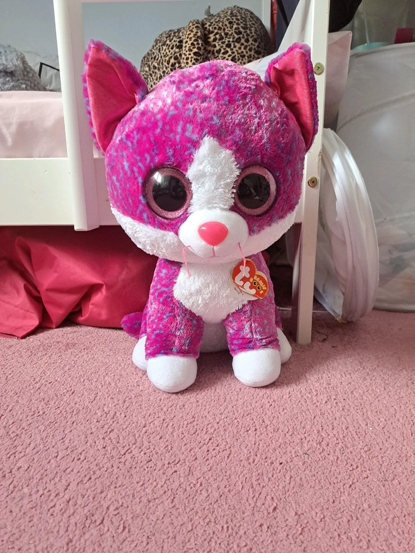 Charlotte the best sale cat beanie boo