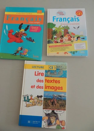 Manuel de français CE1, état: Bon état, 7,00 €, 8,05 € Protection acheteurs incluse