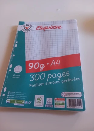 📄 Copies simples perforées format A4 - grands carreaux – 90g, marque: Esquisse, état: Neuf sans étiquette, 1,50 €, 2,28 € Protection acheteurs incluse