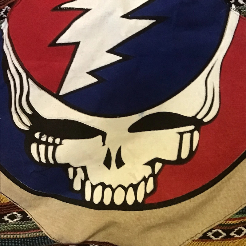 NWT Steal Your Face Large Bag 2