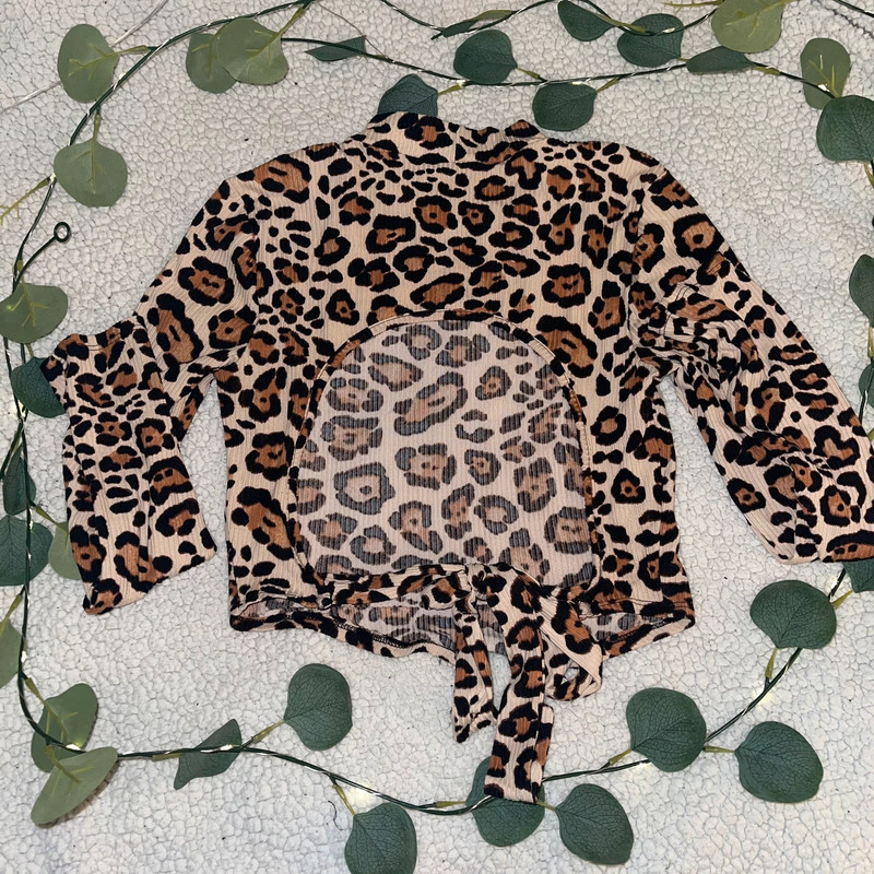Cheetah print long sleeve 2