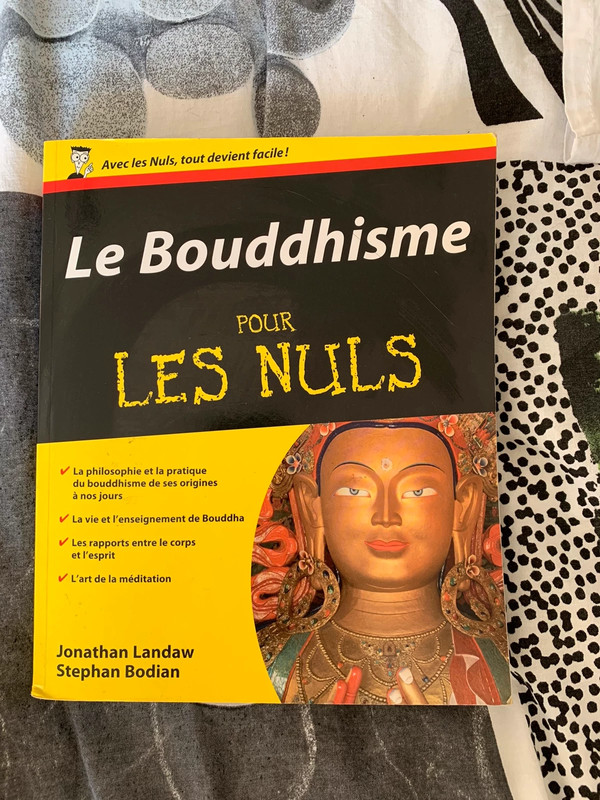 Le bouddhisme pour les nuls