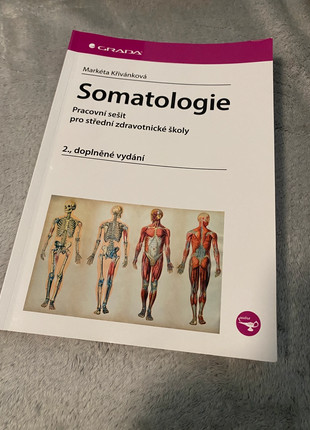 Obrázek k inzerátu: Somatologie pracovní sešit pro střední zdravotnické školy