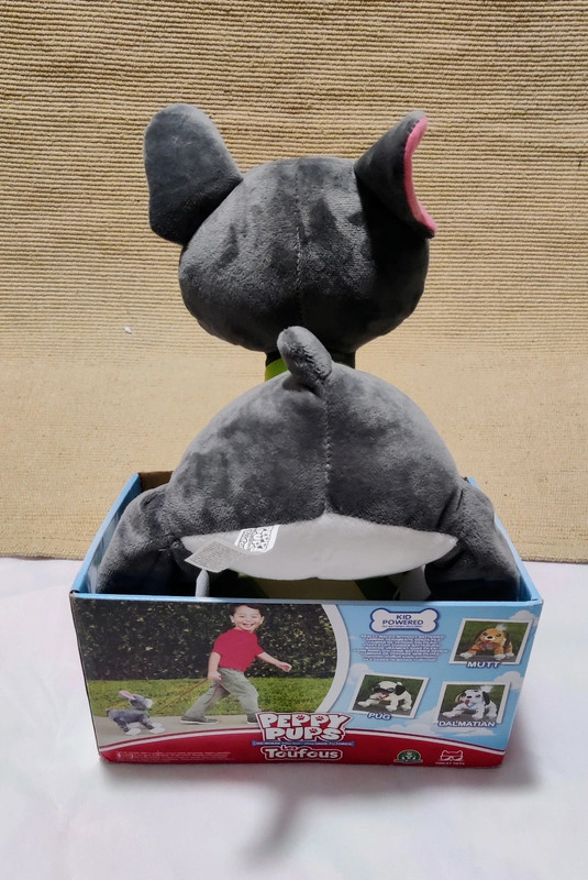 Chien toufou bulldog shop