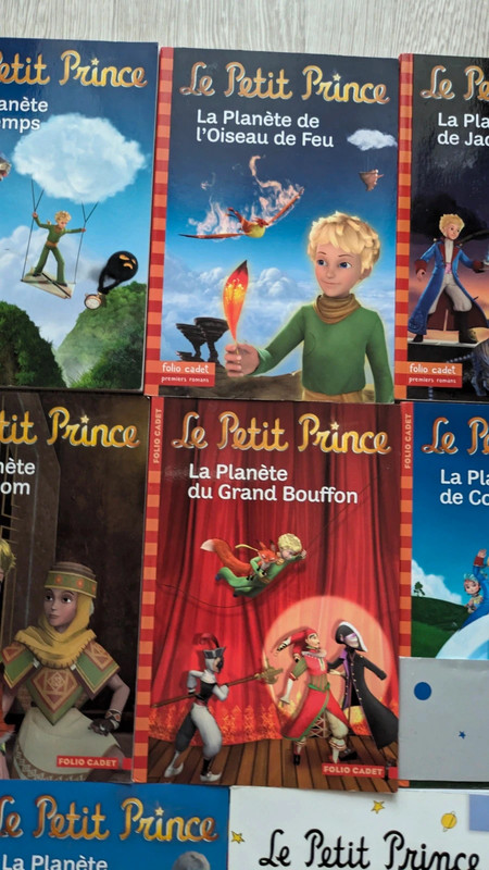 Collection de 8 livres le petit prince 4