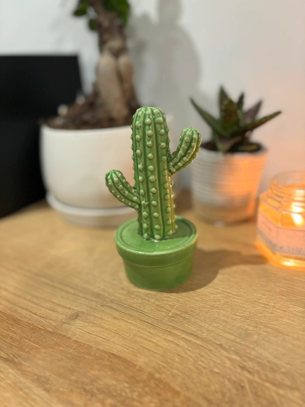 Cactus décoratif à poser