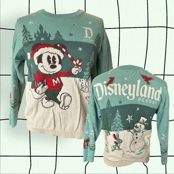 disneyland 🎄 spirit jersey 2