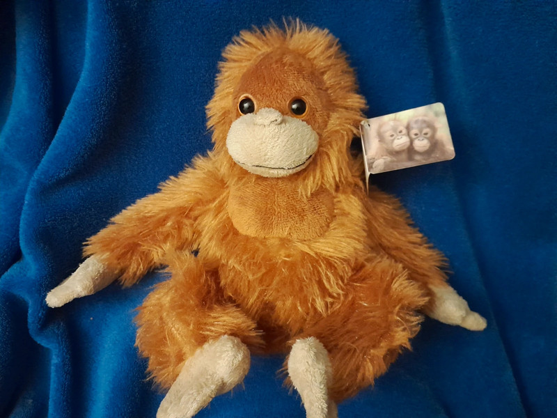 Iceland orangutan soft clearance toy