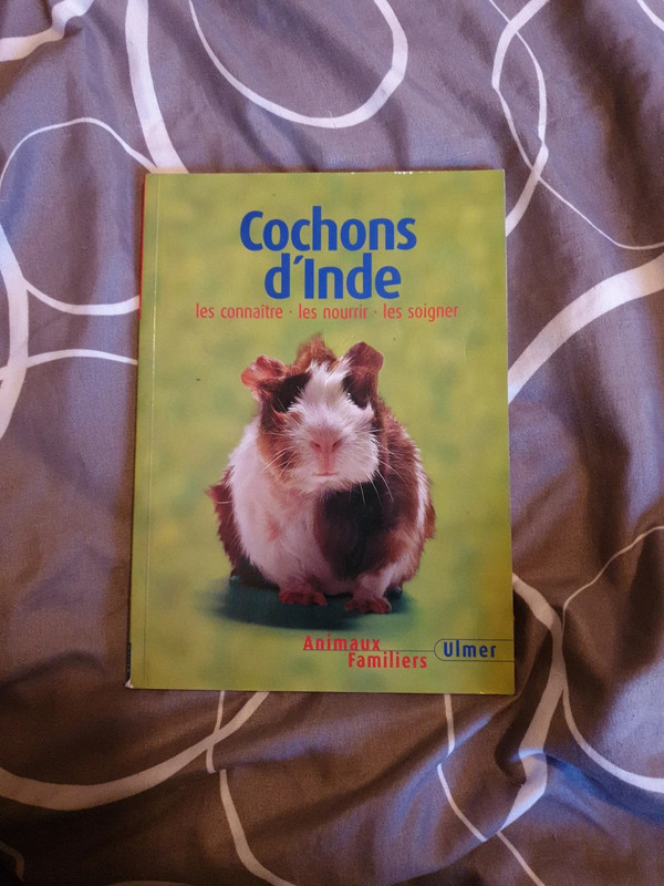 Cochons d'inde, Livre sur le cochon d'inde Edition ULMER