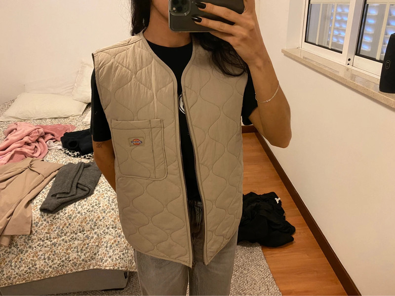 Dickies Thorsby liner vest 1