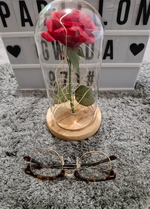 Lunettes fantaisie transparente montures léopard (prix d'achat 10€), condition: New without tags, €5.00, €5.95 includes Buyer Protection