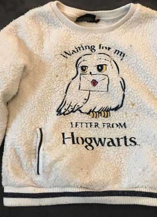 Pull Harry Potter - Taille 6 ans, marque: Harry Potter, état: Très bon état, taille: 6 ans / 116 cm, 2,00 €, 2,80 € Protection acheteurs incluse