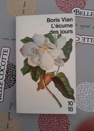 Boris vian L'écume des jours , zustand: Gut, 2,00 €, 2,80 € inklusive Vinted-Käuferschutz