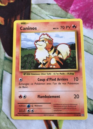 Carte Pokémon Caninos 1ère generation , brand: Pokémon, condition: New without tags, €3.99, €4.89 includes Buyer Protection